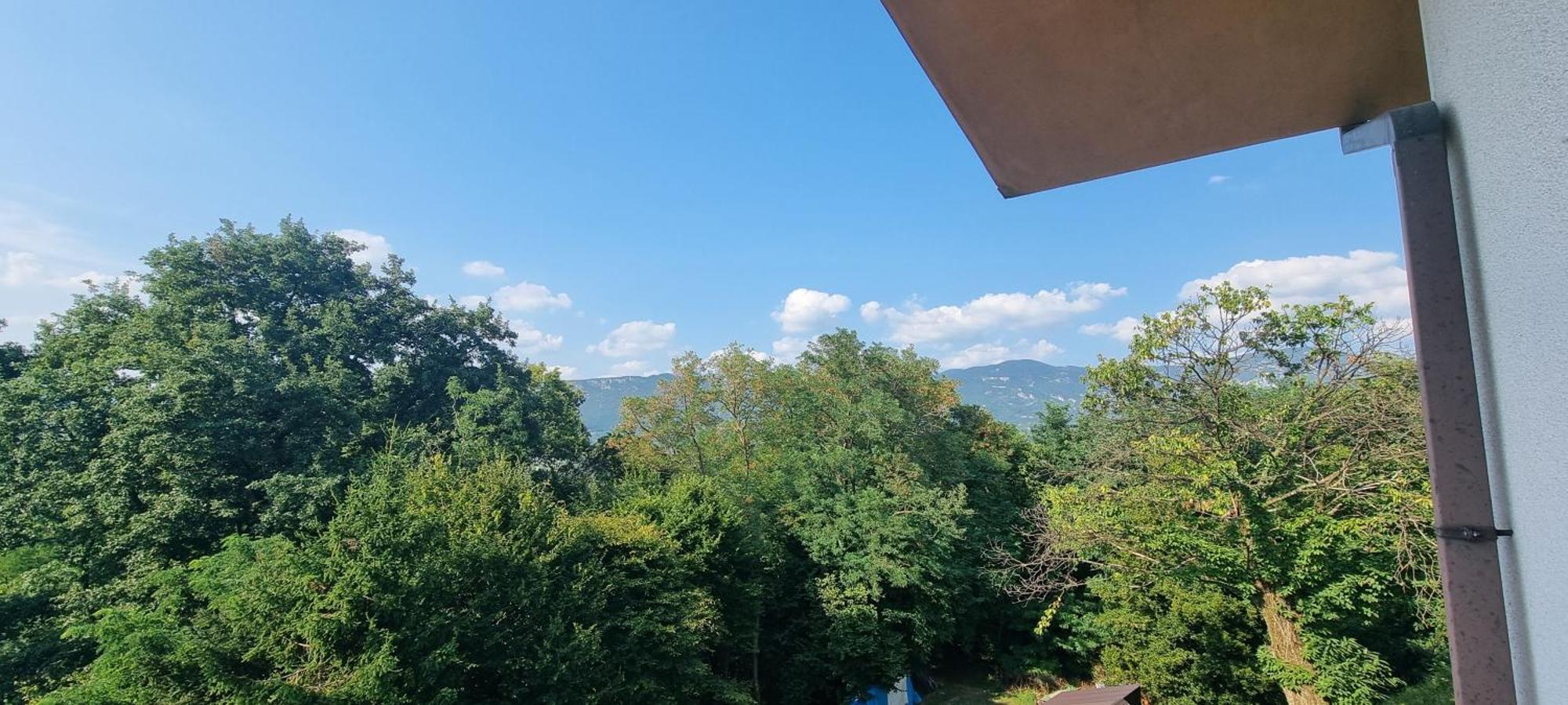 Pri Stari Murvi Vogrsko Exterior photo